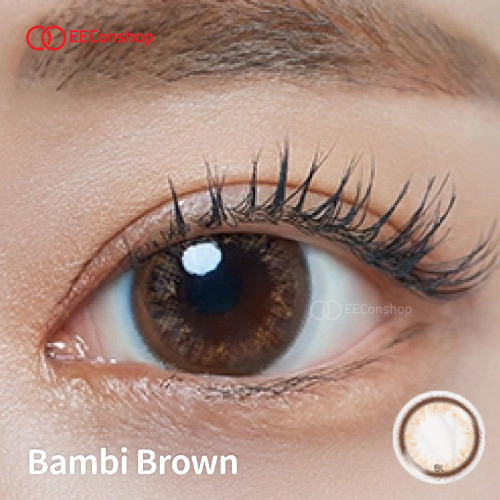 Lacelle 1 Day Iconic系列 Bambi Brown 焦糖啡