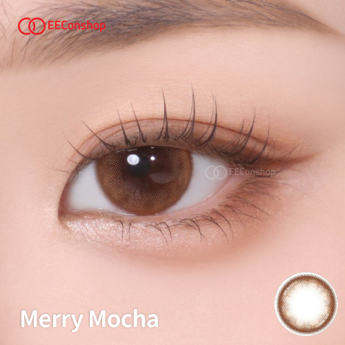 Lacelle 1 Day Iconic系列 Merry Mocha 浪漫啡
