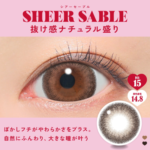 FABULOUS 1 Day Sheer Sable
