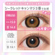 FABULOUS 1 Month Gossip Brown 2p