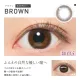 Revia Multifocal 1 Day - Brown