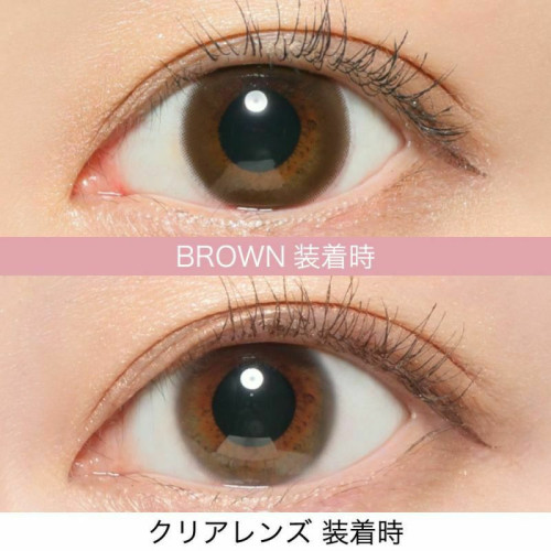 RêVIA TORIC 1 Day Brown