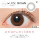 RêVIA TORIC 1 Day Muuse Brown