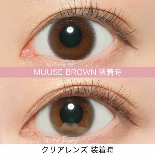 RêVIA TORIC 1 Day Muuse Brown