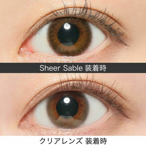RêVIA TORIC 1 Day Sheer Sable