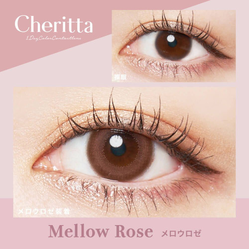 Cheritta 1 Day Mellow Rose