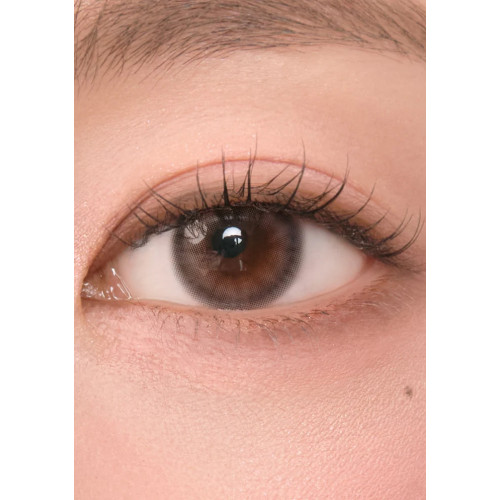 Chuu Lens Cloud Pudding 1 Day - Mousse Brown