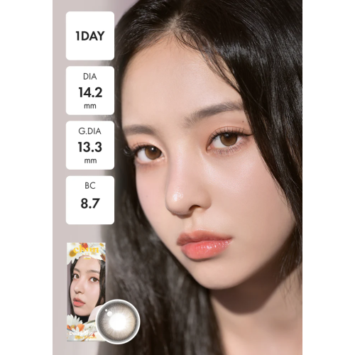 Chuu Lens Daisy Shower 1 Day - Pure Brown