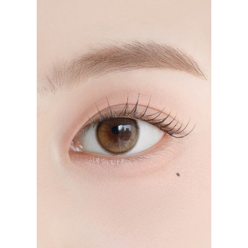 Chuu Lens Daisy Shower Monthly - Pure Brown