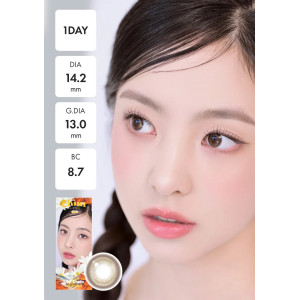 Chuu Lens Lily Daze 1 Day - Sun Brown