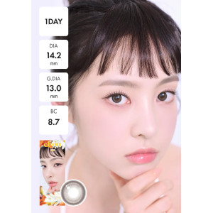 Chuu Lens Lily Daze 1 Day - Sun Gray