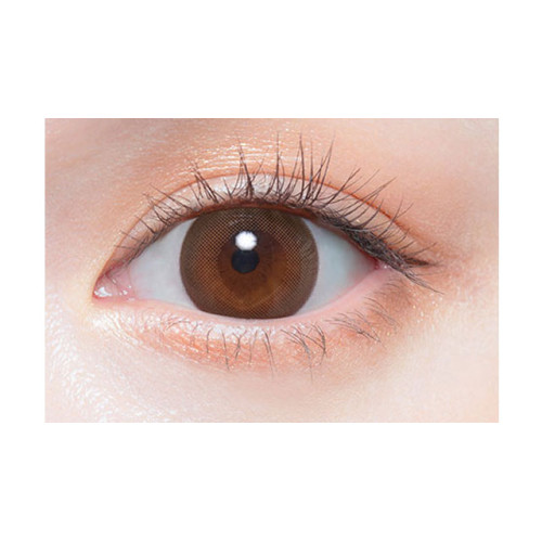 Chu’s me Monthly MOIST BROWN