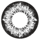 DOLCE Natural Gran Design 1 Day - Dolce Circle Black