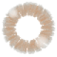 ⁠Delight NOVA 1 Day Bronze