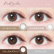 EverColor 1 Day Toric - Natural Brown
