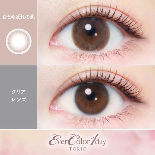 EverColor 1 Day Toric - Hitomebore no Koi
