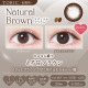 EverColor 1 Day Toric - Natural Brown