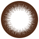 EverColor 1 Day Toric - Natural Brown