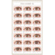 EverColor EYE GENIC 1 Month (0度)