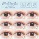EverColor 1 Day Natural Moist Label UV