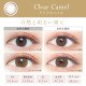 EverColor 1 Day Natural