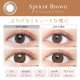 EverColor 1 Day Natural