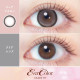 EverColor 1 Month Pure Macaron