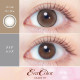 EverColor 1 Month Pearl Beige