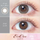 EverColor 1 Month Pearl Snow Gray