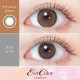 EverColor 1 Month Apricot Brown
