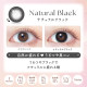 EverColor 1 Month Natural Black