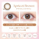 EverColor 1 Month Apricot Brown