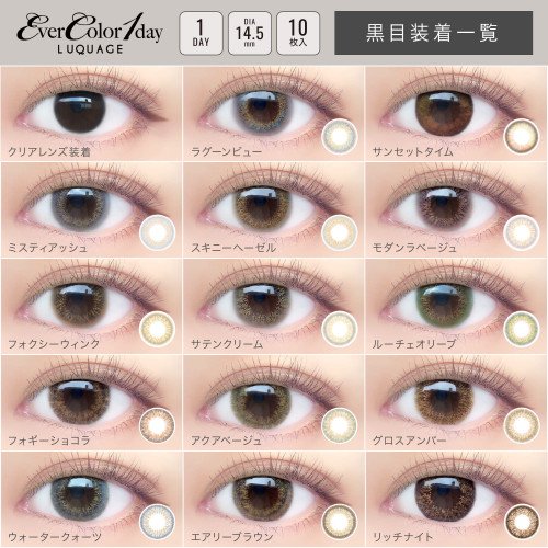 EverColor 1 Day Luquage 10片裝