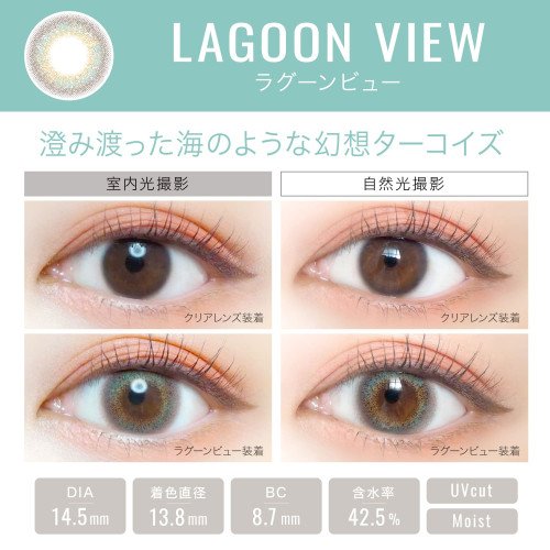 EverColor 1 Day Luquage 10片裝