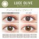EverColor 1 Day Luquage 10片裝