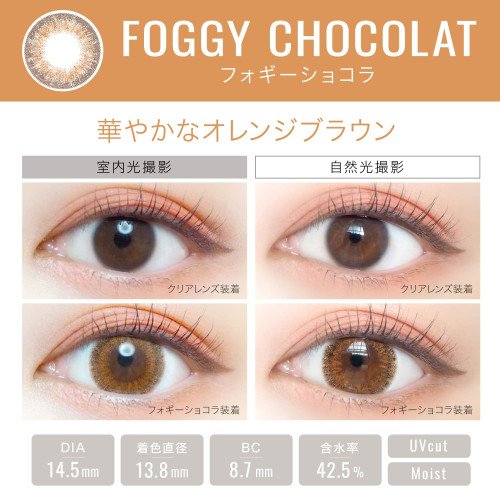 EverColor 1 Day Luquage 10片裝