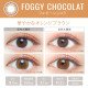 EverColor 1 Day Luquage 10片裝