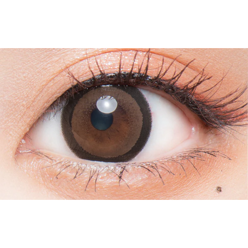 Flurry 1 Day Ring Dark Brown