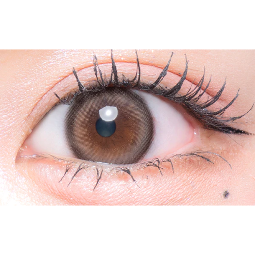 Flurry 1 Day Ring Large Brown