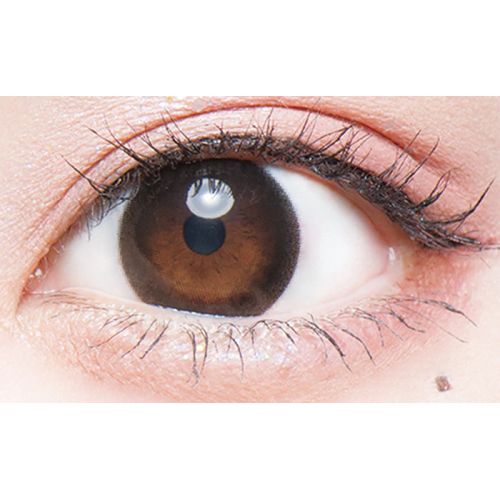 Flurry 1 Day Tulle Black