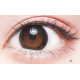 Flurry 1 Day Tulle Black