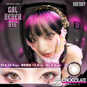 GAL NEVER DIE 1 Day - CHOCOLATE