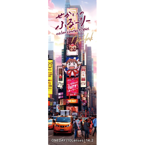 World Flurry 1 Day New York