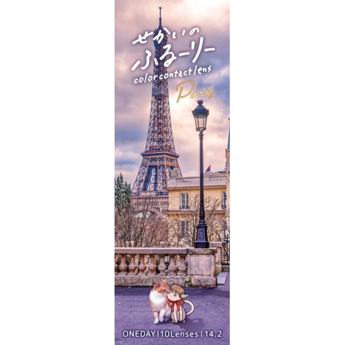 World Flurry 1 Day Paris