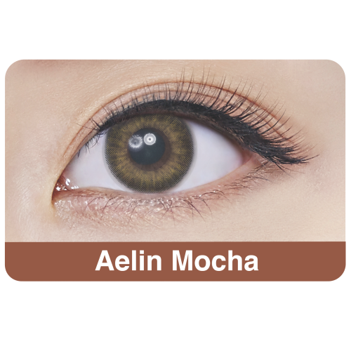Freshkon Naho 1 Day Aelin Mocha (10pcs)