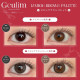 Geulim 1 Day - Maron Brown Palette