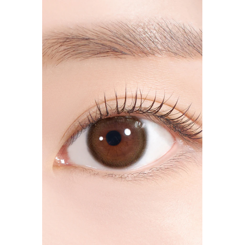 Hapa Kristin Glazed Kristin 1 Day Toric