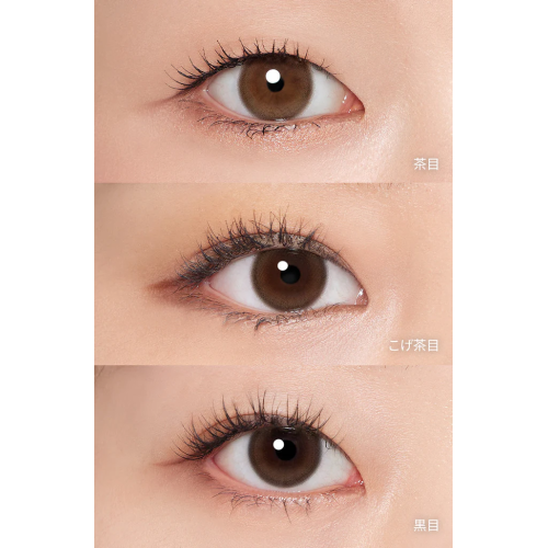 Hapa Kristin Glazed Kristin 1 Day Toric