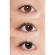 Hapa Kristin Glazed Kristin 1 Day Toric