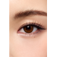 Hapa Kristin Bittersweet Kristin 1 Day - Amber Brown